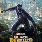 Black Panther Hall Of Fame