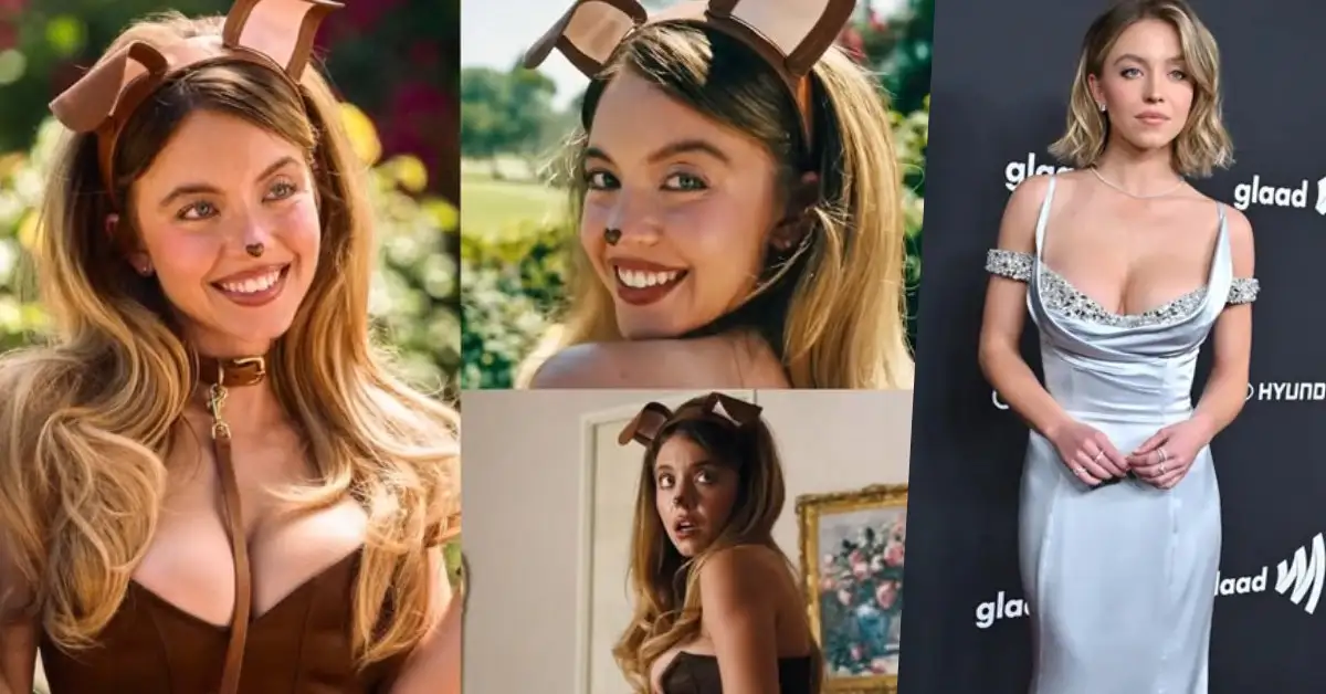 sydney sweeney Bingetake Sydney Sweeney Box Office Report Card (1980–2026): Every Movie Verdict Analyzed