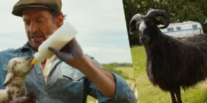 The Sheep Detectives Review: Hugh Jackman’s Murder Mystery Is a Must-See