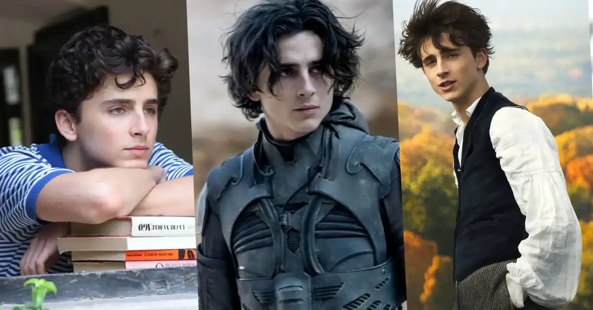 Timothee Chalamet 1 Timothée Chalamet Net Worth 2026: Salary, Deals, House & Career Earnings Breakdown