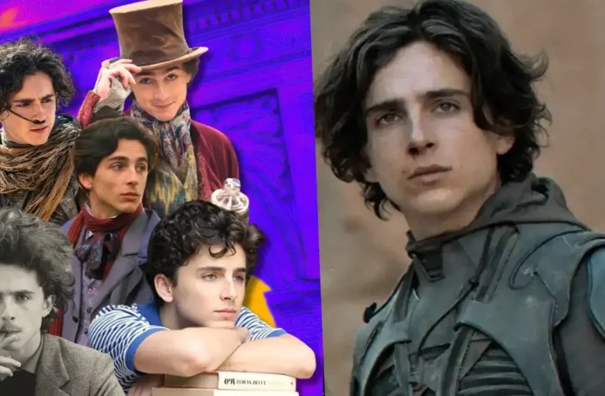 Timothée Chalamet Net Worth 2026: Salary, Deals, House & Career Earnings Breakdown